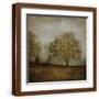Brown Frame