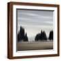 Brown Frame