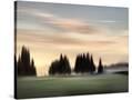 Stretched Canvas