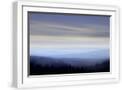 White Frame