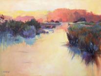 Ace Basin Creek-Madeline Dukes-Framed Stretched Canvas