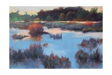 Ace Basin Creek-Madeline Dukes-Stretched Canvas