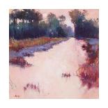 Ace Basin Creek-Madeline Dukes-Framed Stretched Canvas