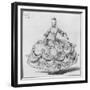 Mademoiselle Marie Salle (Pen and W/C on Paper) (B/W Photo)-Louis Rene Boquet-Framed Giclee Print