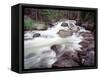 Madison River Rushing over Rocks-Jim Zuckerman-Framed Stretched Canvas