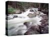 Madison River Rushing over Rocks-Jim Zuckerman-Stretched Canvas