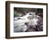 Madison River Rushing over Rocks-Jim Zuckerman-Framed Photographic Print