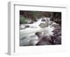 Madison River Rushing over Rocks-Jim Zuckerman-Framed Photographic Print