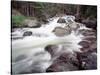 Madison River Rushing over Rocks-Jim Zuckerman-Stretched Canvas