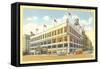 Madison Square Garden, New York City-null-Framed Stretched Canvas