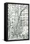 Madison Square park New York, 2003-Vincent Alexander Booth-Framed Stretched Canvas