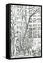 Madison Square park New York, 2003-Vincent Alexander Booth-Framed Stretched Canvas