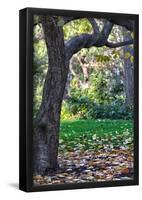 Madison Square Park NYC-null-Framed Poster