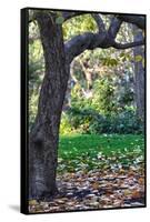 Madison Square Park NYC-null-Framed Stretched Canvas