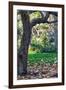 Madison Square Park NYC-null-Framed Photo