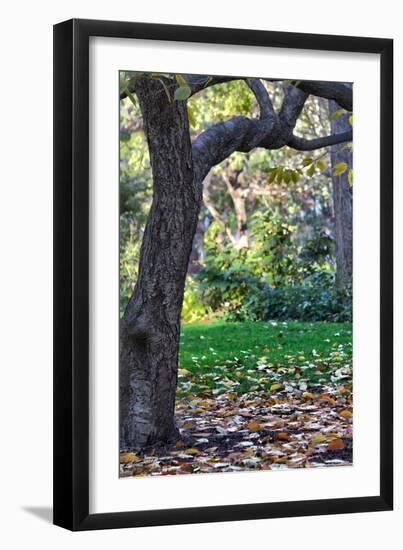 Madison Square Park NYC-null-Framed Photo