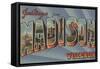 Madison, Wisconsin - Large Letter Scenes-Lantern Press-Framed Stretched Canvas