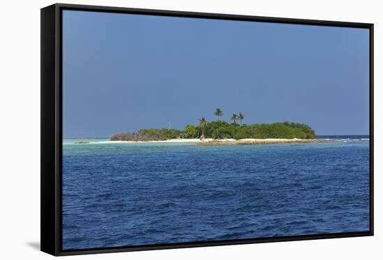 Madivaru island, Rasdhoo atoll, Maldives, Indian Ocean, Asia-Nigel Hicks-Framed Stretched Canvas