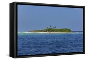Madivaru island, Rasdhoo atoll, Maldives, Indian Ocean, Asia-Nigel Hicks-Framed Stretched Canvas