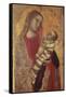 Madonna and Child, 1320-1330-Ambrogio Lorenzetti-Framed Stretched Canvas