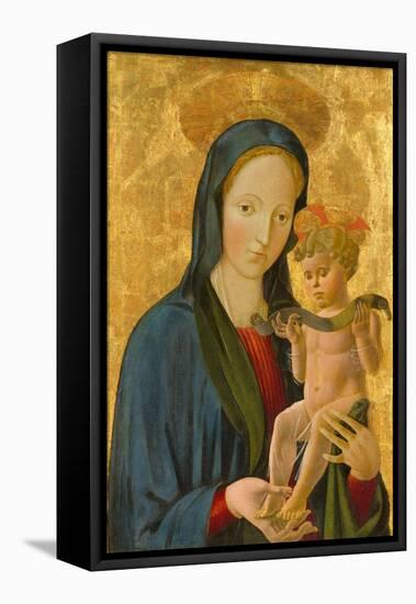 Madonna and Child, 1445 (Tempera and Gold Leaf on Panel)-Paolo Uccello-Framed Stretched Canvas