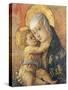 Madonna and Child, 1472-Carlo Crivelli-Stretched Canvas