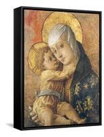 Madonna and Child, 1472-Carlo Crivelli-Framed Stretched Canvas