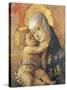 Madonna and Child, 1472-Carlo Crivelli-Stretched Canvas