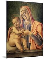 Madonna and Child, 1490-Bartolomeo Vivarini-Mounted Giclee Print