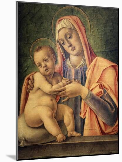 Madonna and Child, 1490-Bartolomeo Vivarini-Mounted Giclee Print