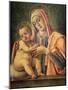 Madonna and Child, 1490-Bartolomeo Vivarini-Mounted Giclee Print