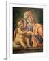 Madonna and Child, 1490-Bartolomeo Vivarini-Framed Giclee Print