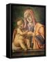 Madonna and Child, 1490-Bartolomeo Vivarini-Framed Stretched Canvas