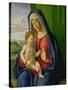 Madonna and Child, 1490s-Giovanni Battista Cima Da Conegliano-Stretched Canvas