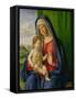 Madonna and Child, 1490s-Giovanni Battista Cima Da Conegliano-Framed Stretched Canvas