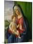 Madonna and Child, 1490s-Giovanni Battista Cima Da Conegliano-Mounted Giclee Print