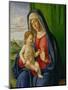 Madonna and Child, 1490s-Giovanni Battista Cima Da Conegliano-Mounted Giclee Print