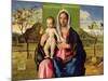 Madonna and Child, 1510-Giovanni Bellini-Mounted Giclee Print