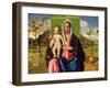 Madonna and Child, 1510-Giovanni Bellini-Framed Giclee Print