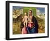 Madonna and Child, 1510-Giovanni Bellini-Framed Giclee Print