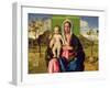 Madonna and Child, 1510-Giovanni Bellini-Framed Giclee Print