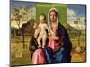 Madonna and Child, 1510-Giovanni Bellini-Mounted Giclee Print