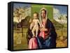 Madonna and Child, 1510-Giovanni Bellini-Framed Stretched Canvas