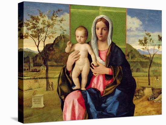 Madonna and Child, 1510-Giovanni Bellini-Stretched Canvas