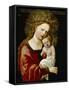 Madonna and Child, 1520-Albrecht Altdorfer-Framed Stretched Canvas