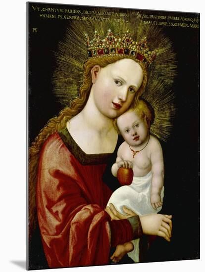 Madonna and Child, 1520-Albrecht Altdorfer-Mounted Giclee Print