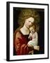 Madonna and Child, 1520-Albrecht Altdorfer-Framed Giclee Print