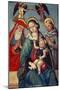 Madonna and Child Being Crowned by Two Angels, with St. Jerome and St. Francis, C.1500-null-Mounted Giclee Print