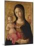 Madonna and Child by Pietro Orioli-Fine Art-Mounted Photographic Print