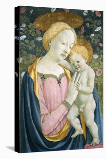 Madonna and Child, C.1445-1450-Domenico Veneziano-Stretched Canvas